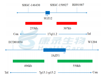 中国·拉斯维加斯(3499·官方认证)网站-Officialwebsite